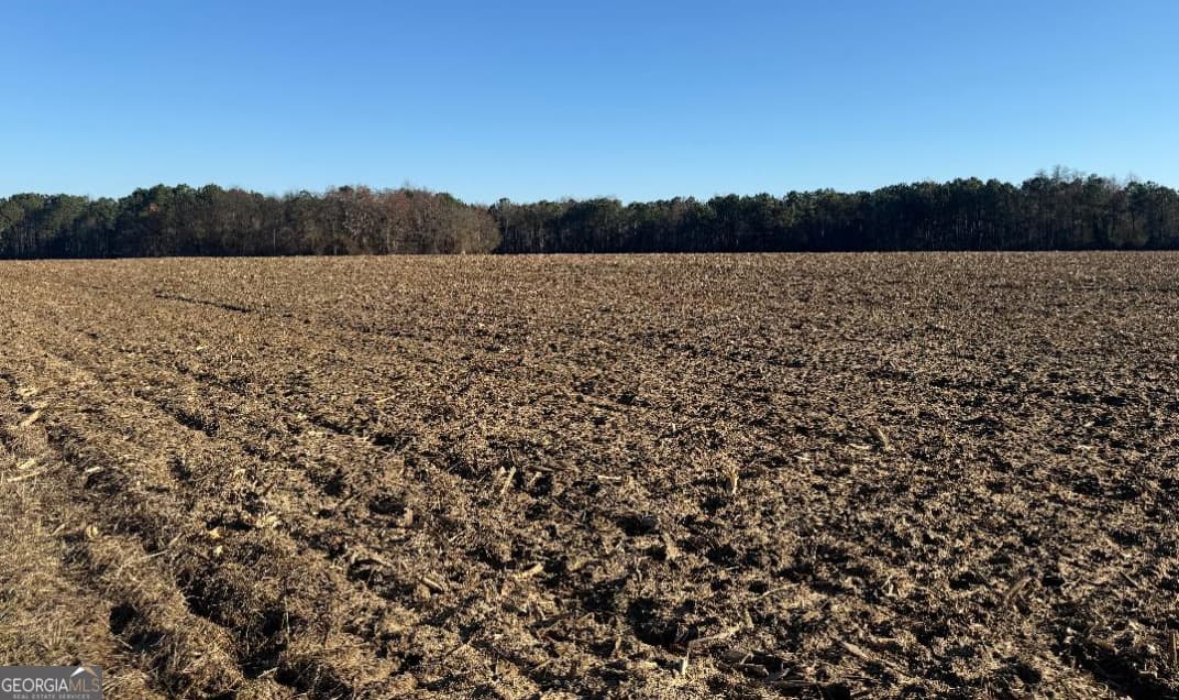 agriculture for sale at 0 Whitfield Road, Elko, GA 31025 — photo 2