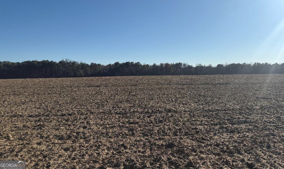 agriculture for sale at 0 Whitfield Road, Elko, GA 31025 — photo 1 of 5