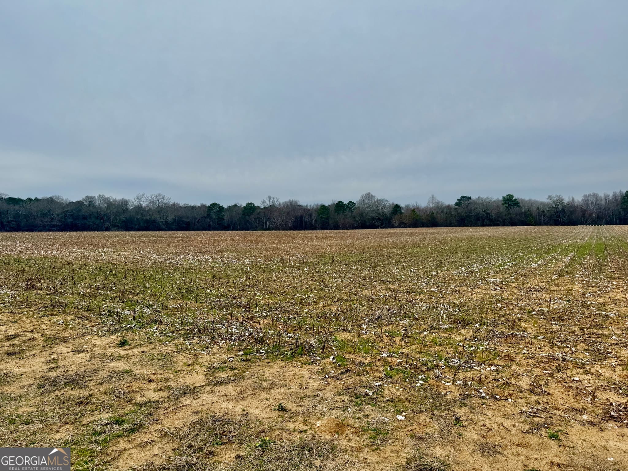 agriculture for sale at 0 Whitfield Road, Elko, GA 31025 — photo 5