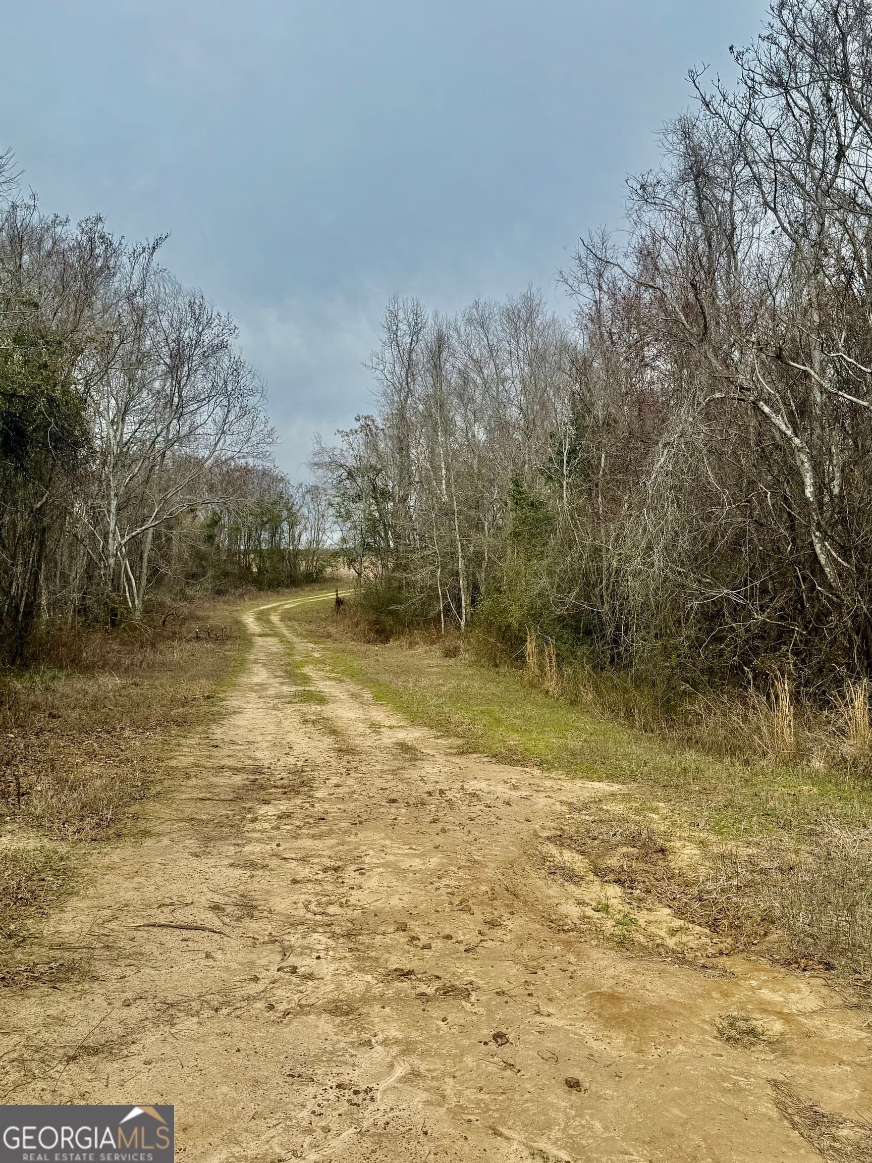 agriculture for sale at 0 Whitfield Road, Elko, GA 31025 — photo 4