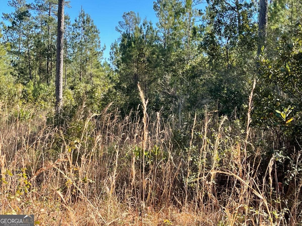 residential lot for sale at 0 Landing Trail, Waynesville, GA 31566 — photo 2
