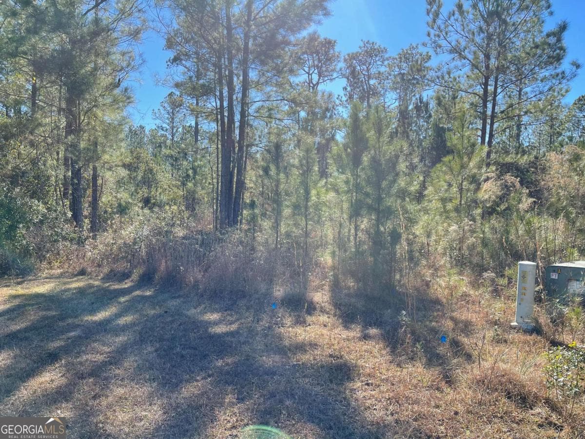 residential lot for sale at 0 Landing Trail, Waynesville, GA 31566 — photo 6