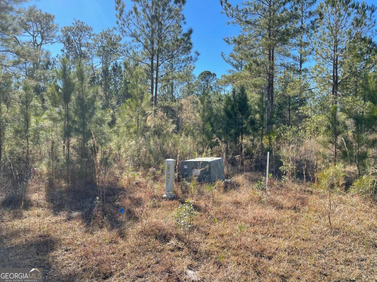 residential lot for sale at 0 Landing Trail, Waynesville, GA 31566 — photo 7