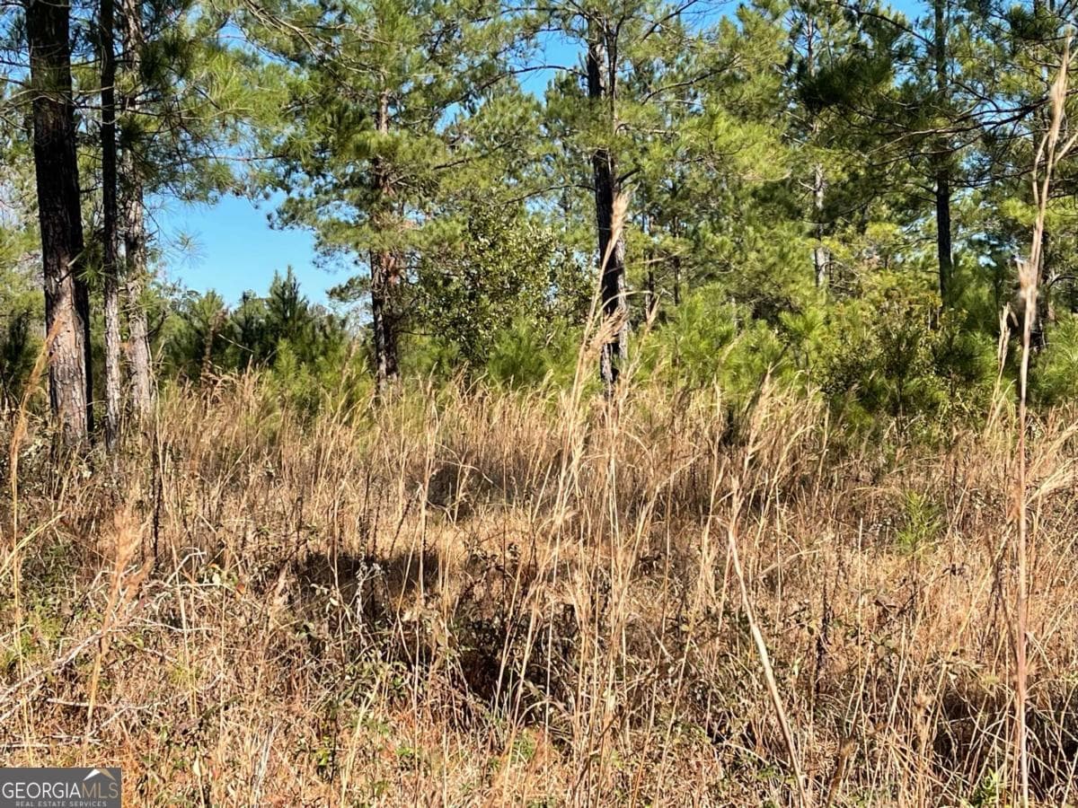 residential lot for sale at 0 Landing Trail, Waynesville, GA 31566 — photo 3