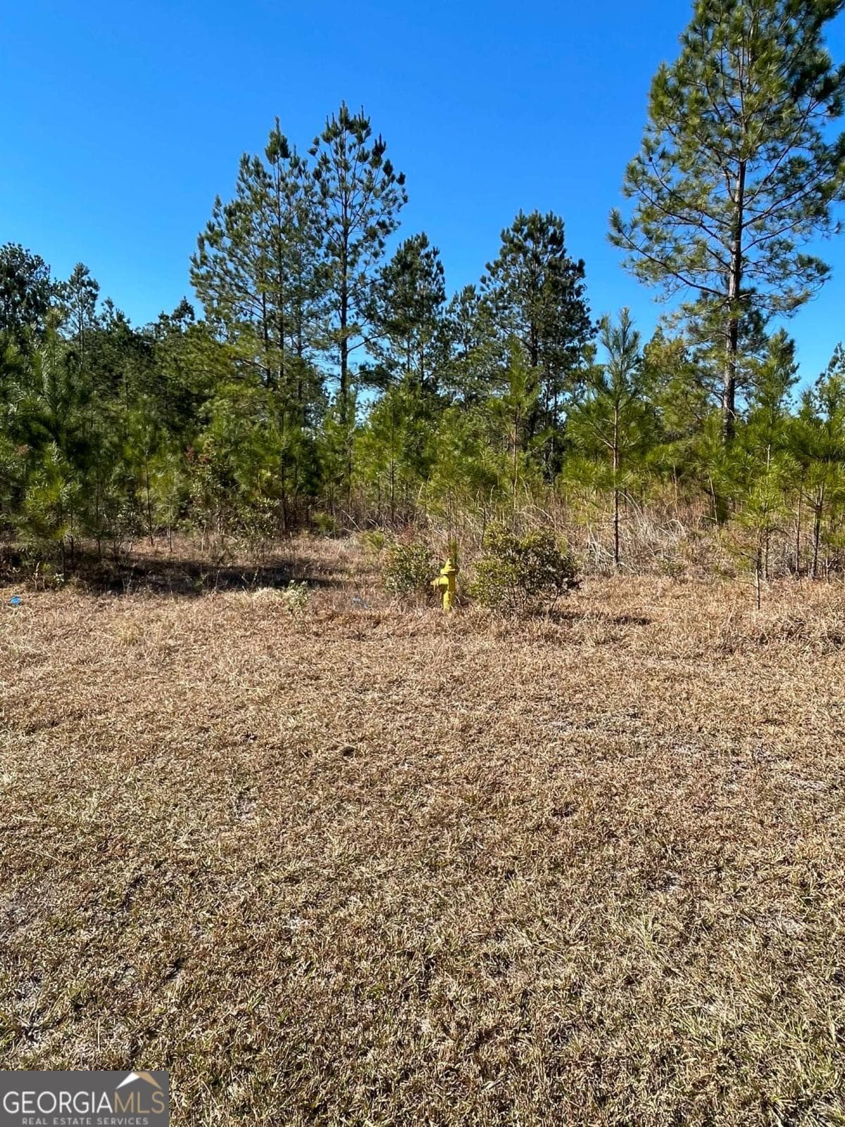 residential lot for sale at 0 Landing Trail, Waynesville, GA 31566
