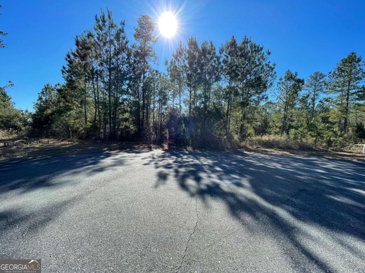 residential lot for sale at 0 Landing Trail, Waynesville, GA 31566 — photo 5
