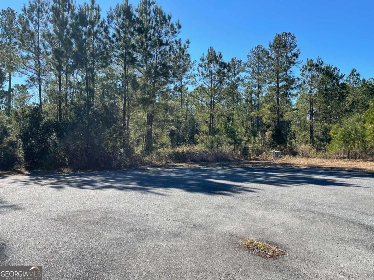 residential lot for sale at 0 Landing Trail, Waynesville, GA 31566 — photo 9