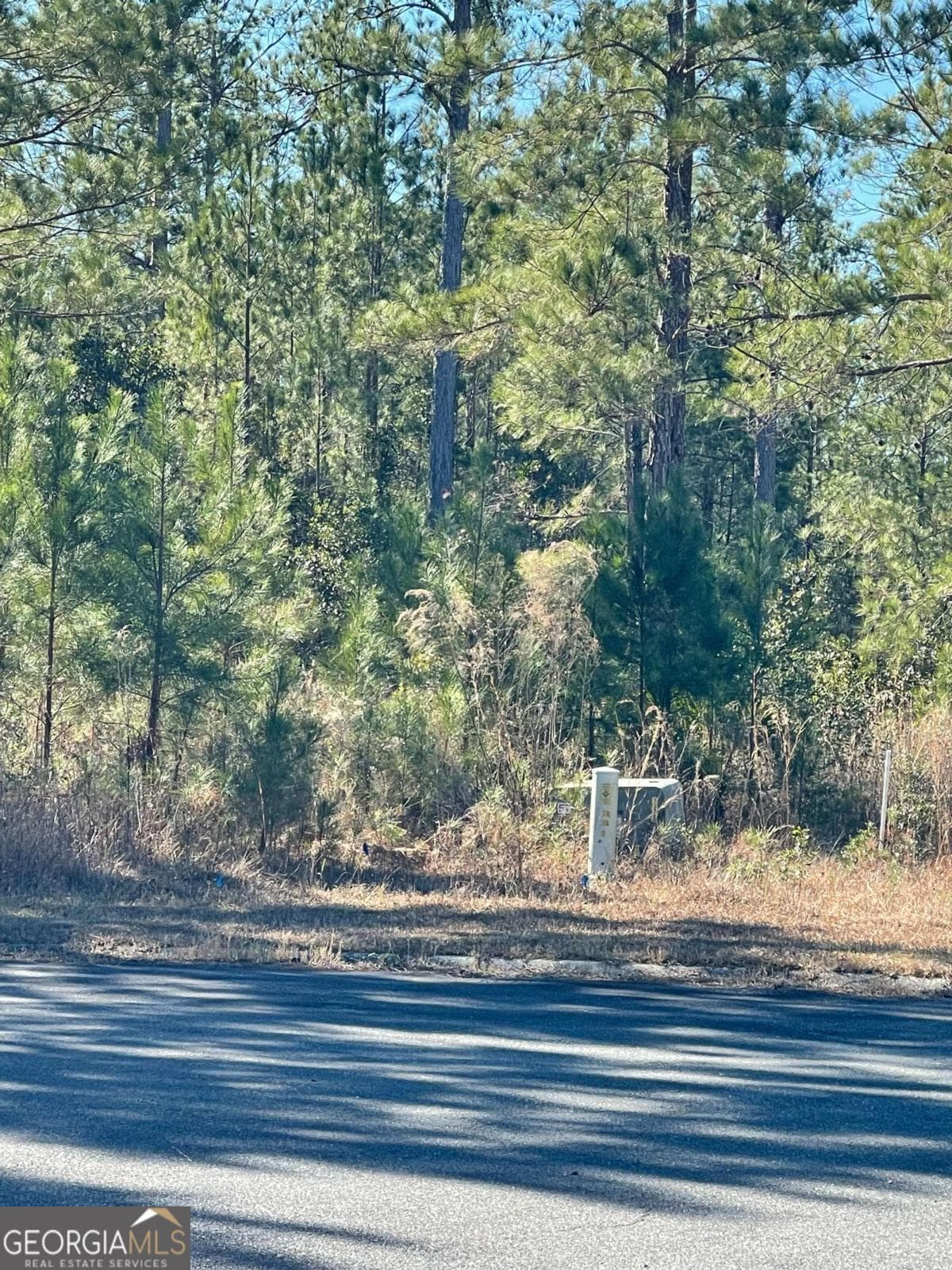 residential lot for sale at 0 Landing Trail, Waynesville, GA 31566 — photo 10