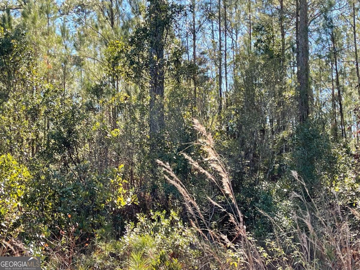 residential lot for sale at 0 Landing Trail, Waynesville, GA 31566 — photo 4