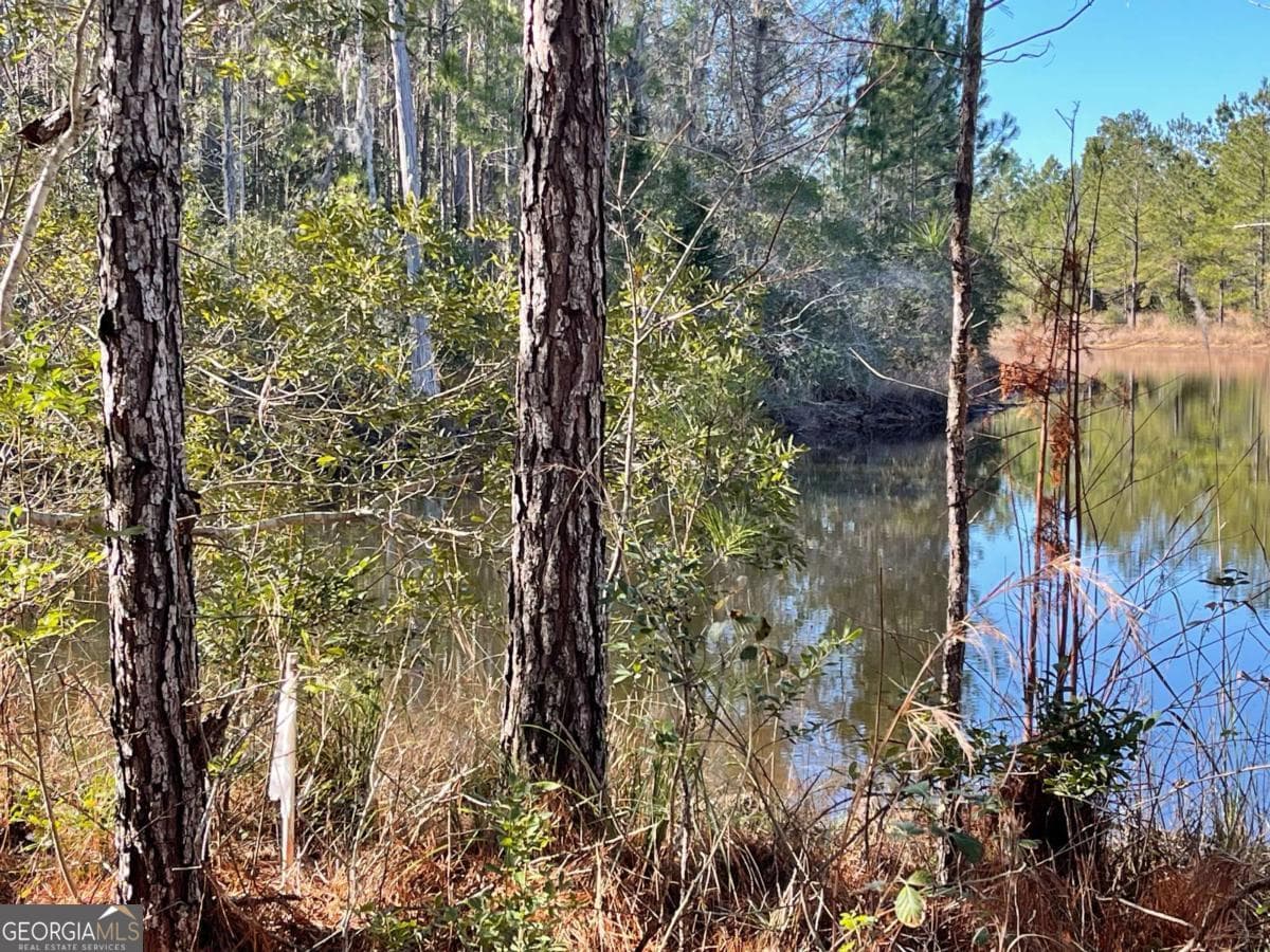 residential lot for sale at 0 Landing Trail, Waynesville, GA 31566 — photo 8