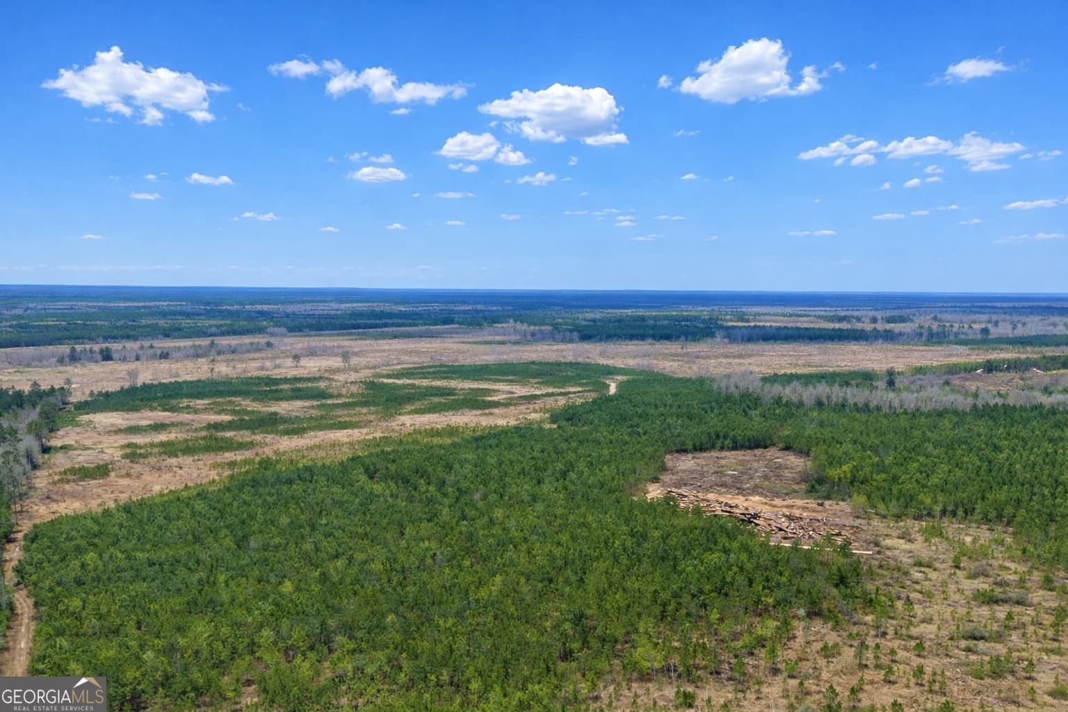 agriculture for sale at 0 Highway 121, Glennville, GA 30427 — photo 2