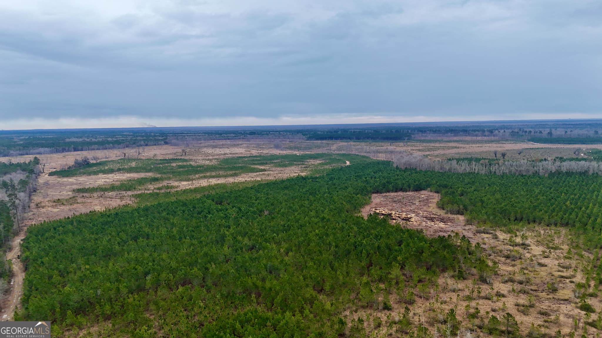 agriculture for sale at 0 Highway 121, Glennville, GA 30427 — photo 6