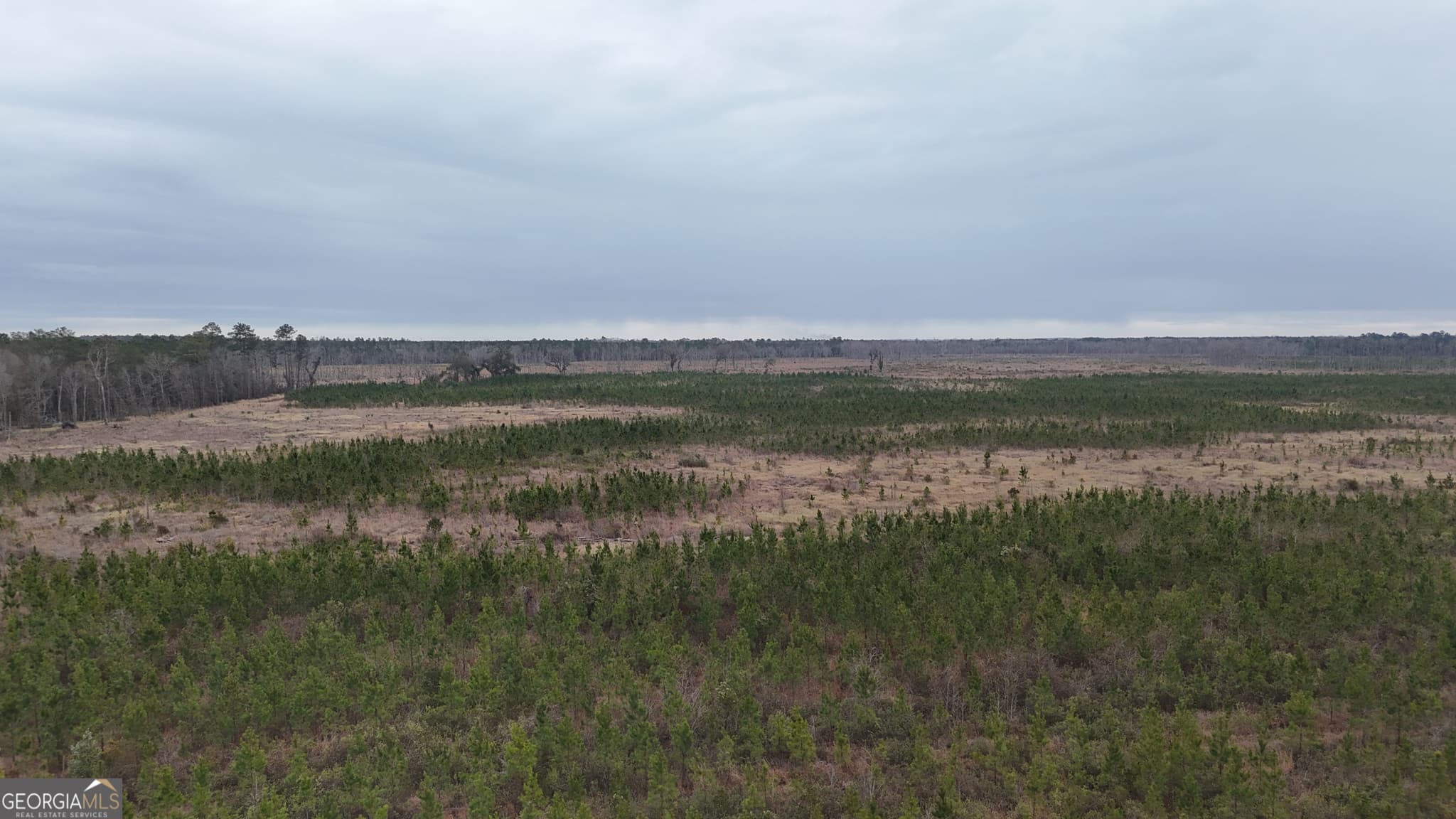 agriculture for sale at 0 Highway 121, Glennville, GA 30427 — photo 7