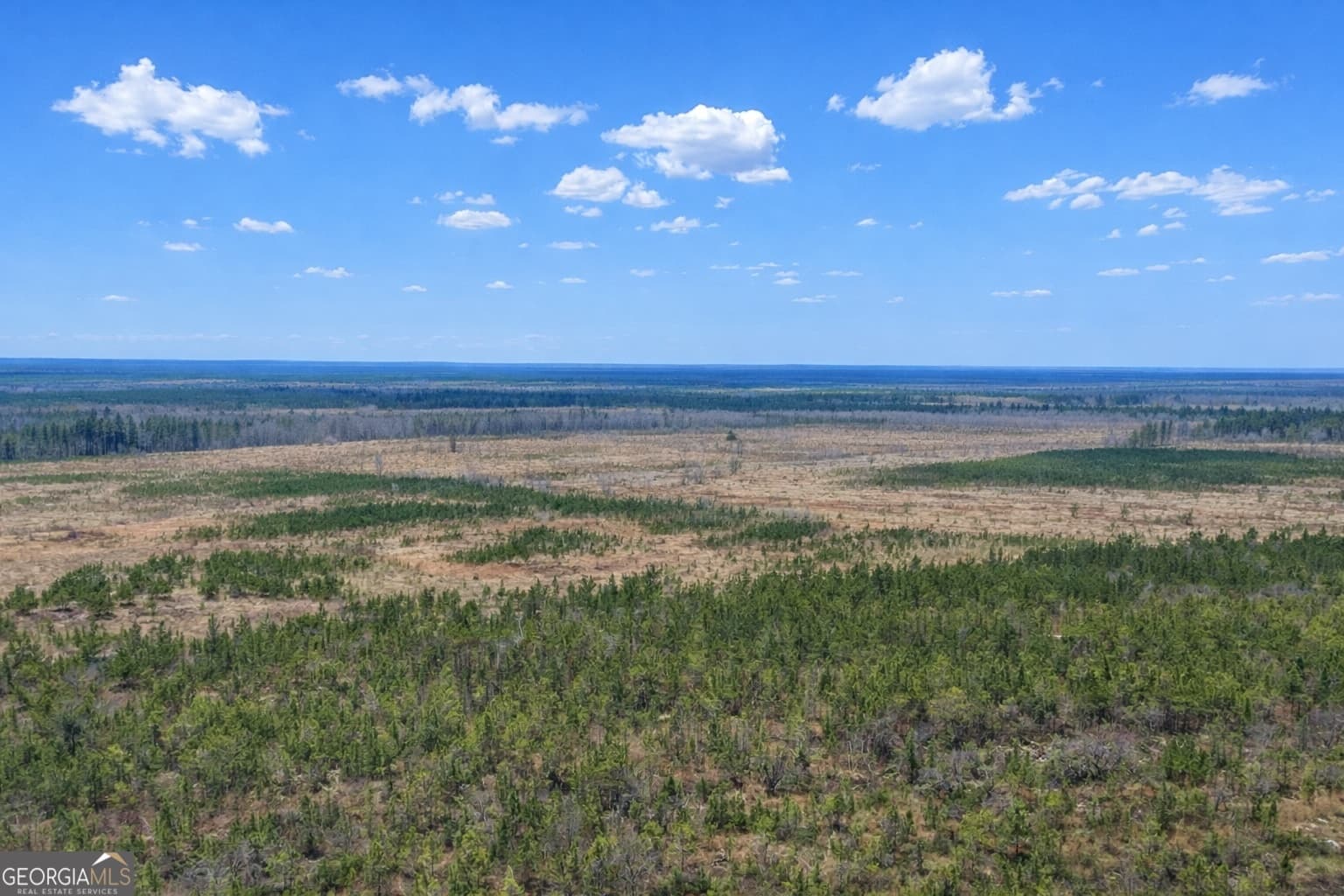 agriculture for sale at 0 Highway 121, Glennville, GA 30427 — photo 3