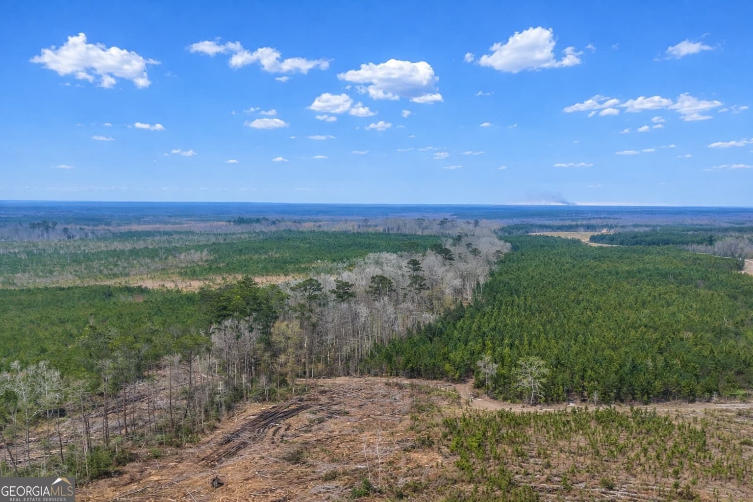 agriculture for sale at 0 Highway 121, Glennville, GA 30427