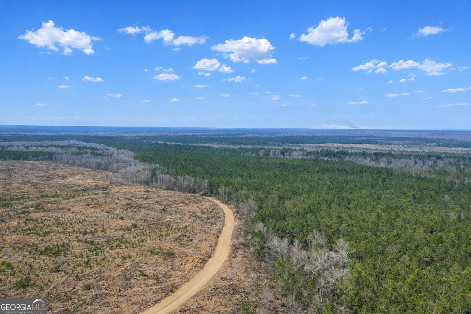 agriculture for sale at 0 Highway 121, Glennville, GA 30427 — photo 5