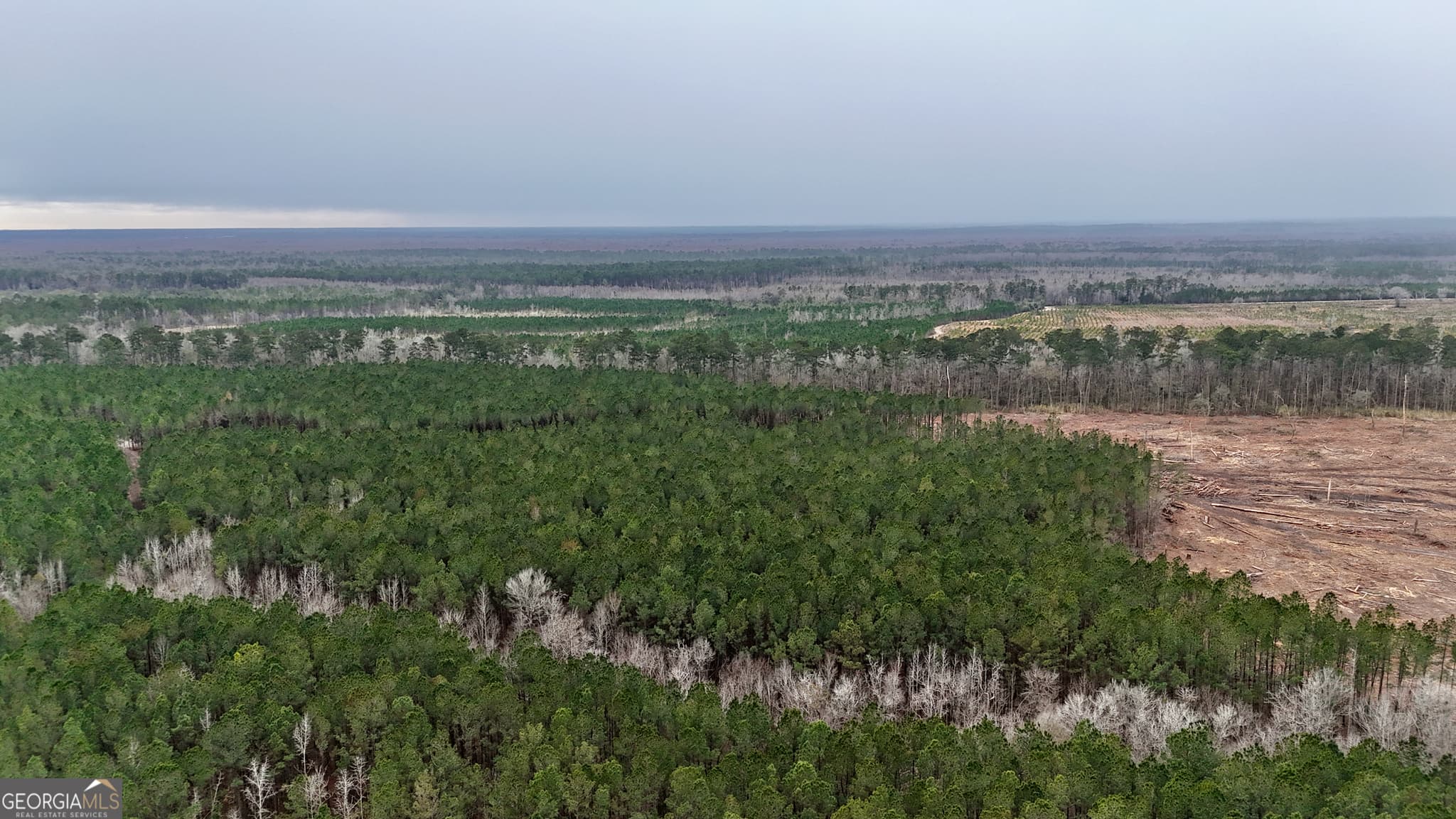 agriculture for sale at 0 Highway 121, Glennville, GA 30427 — photo 10