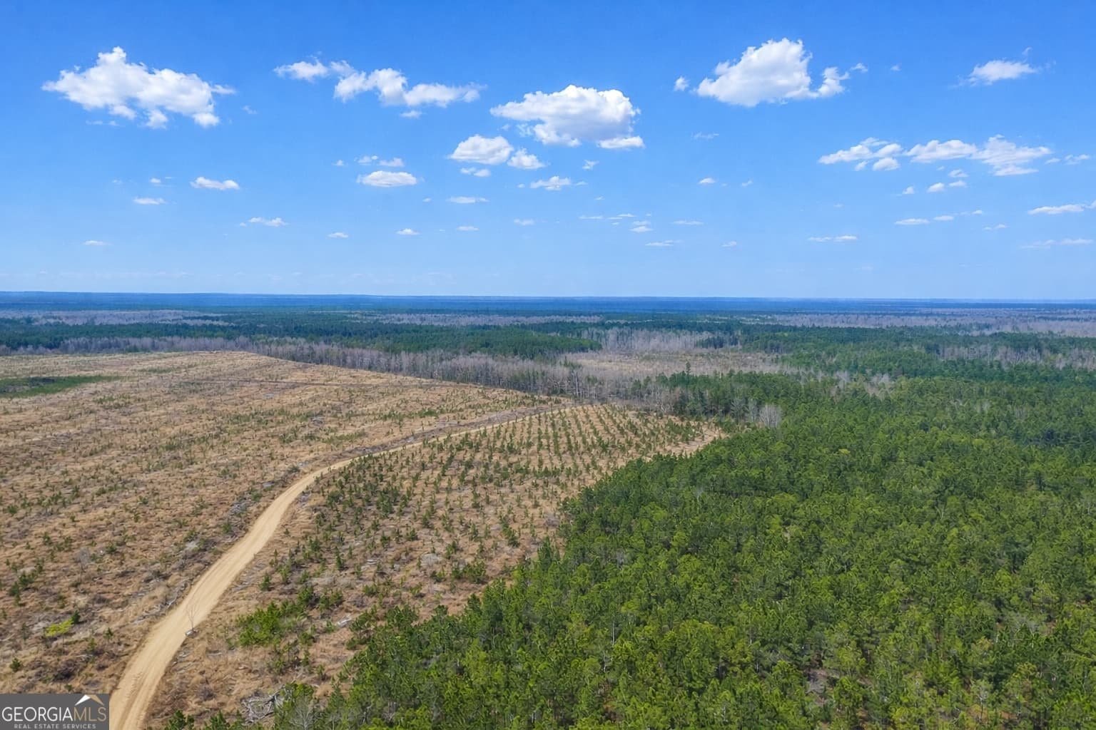 agriculture for sale at 0 Highway 121, Glennville, GA 30427 — photo 4