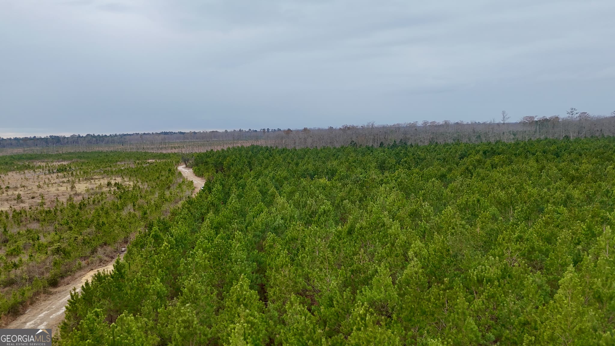 agriculture for sale at 0 Highway 121, Glennville, GA 30427 — photo 8