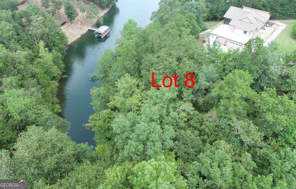unimproved land for sale at 0 Evergreen Crest, Wedowee, AL 36278 — photo 3