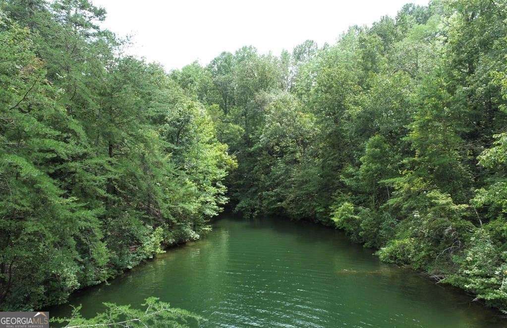 unimproved land for sale at 0 Evergreen Crest, Wedowee, AL 36278 — photo 5