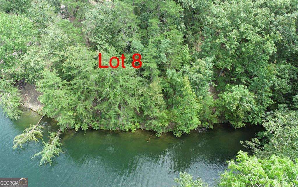 unimproved land for sale at 0 Evergreen Crest, Wedowee, AL 36278 — photo 4