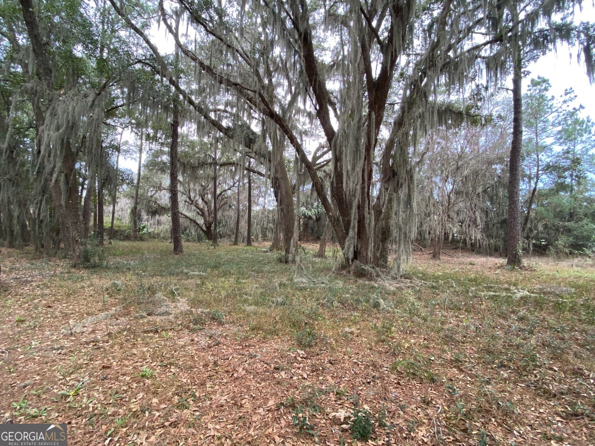 residential lot for sale at 1 Old Cane Mill Drive, Darien, GA 31305 — photo 6