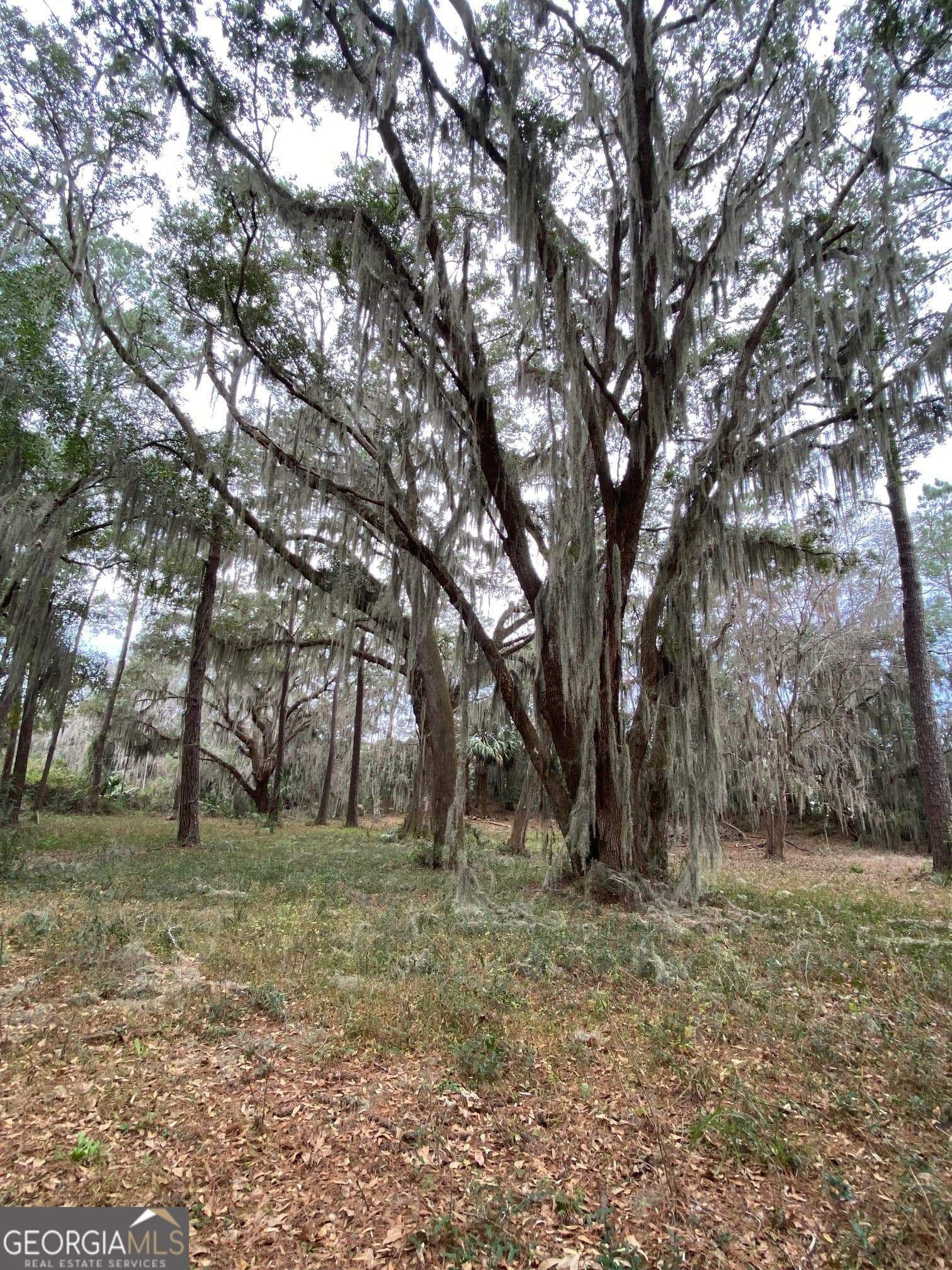 residential lot for sale at 1 Old Cane Mill Drive, Darien, GA 31305 — photo 7