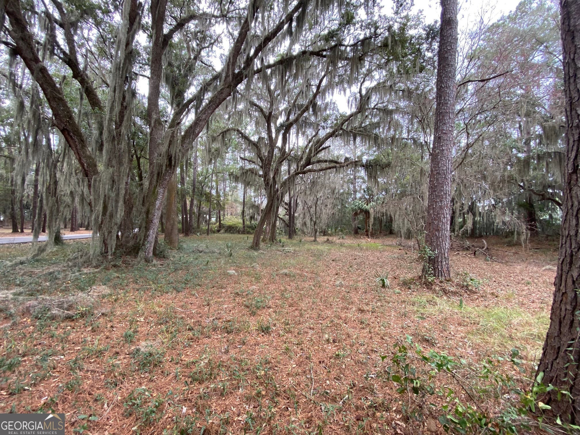 residential lot for sale at 1 Old Cane Mill Drive, Darien, GA 31305 — photo 3