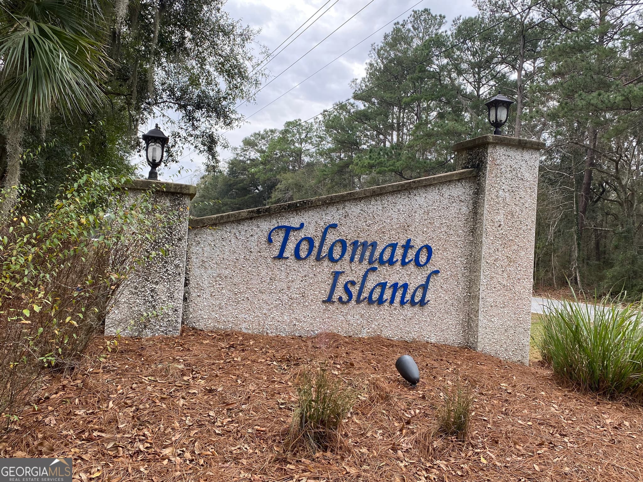 residential lot for sale at 1 Old Cane Mill Drive, Darien, GA 31305