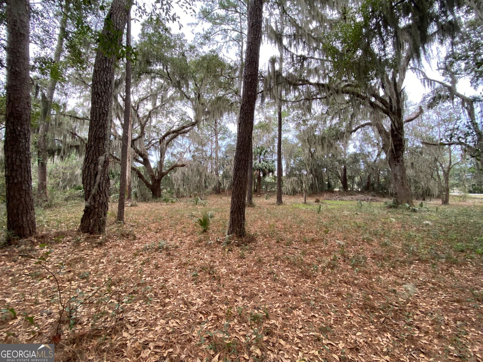residential lot for sale at 1 Old Cane Mill Drive, Darien, GA 31305 — photo 5