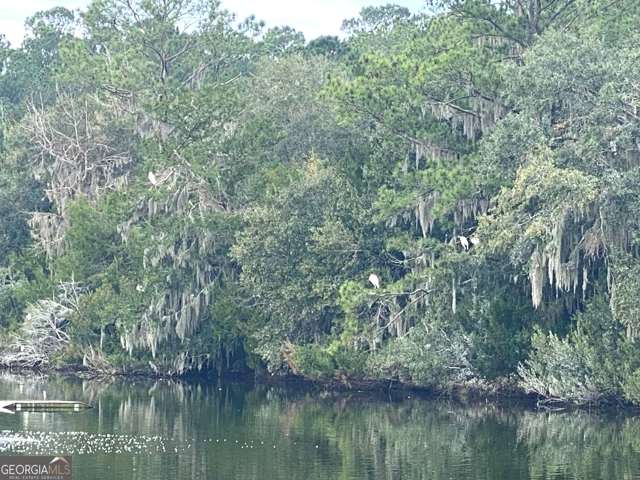 residential lot for sale at 1 Old Cane Mill Drive, Darien, GA 31305 — photo 9