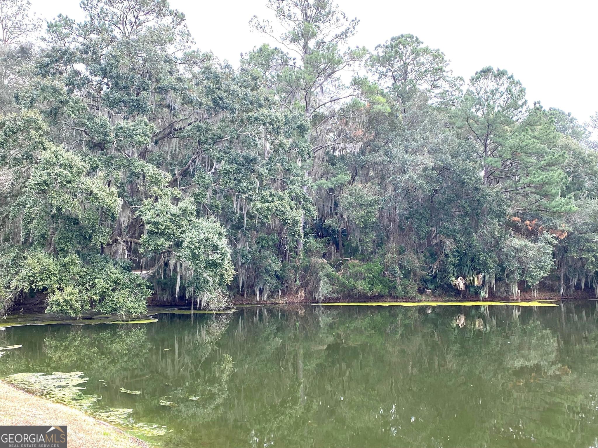 residential lot for sale at 1 Old Cane Mill Drive, Darien, GA 31305 — photo 10