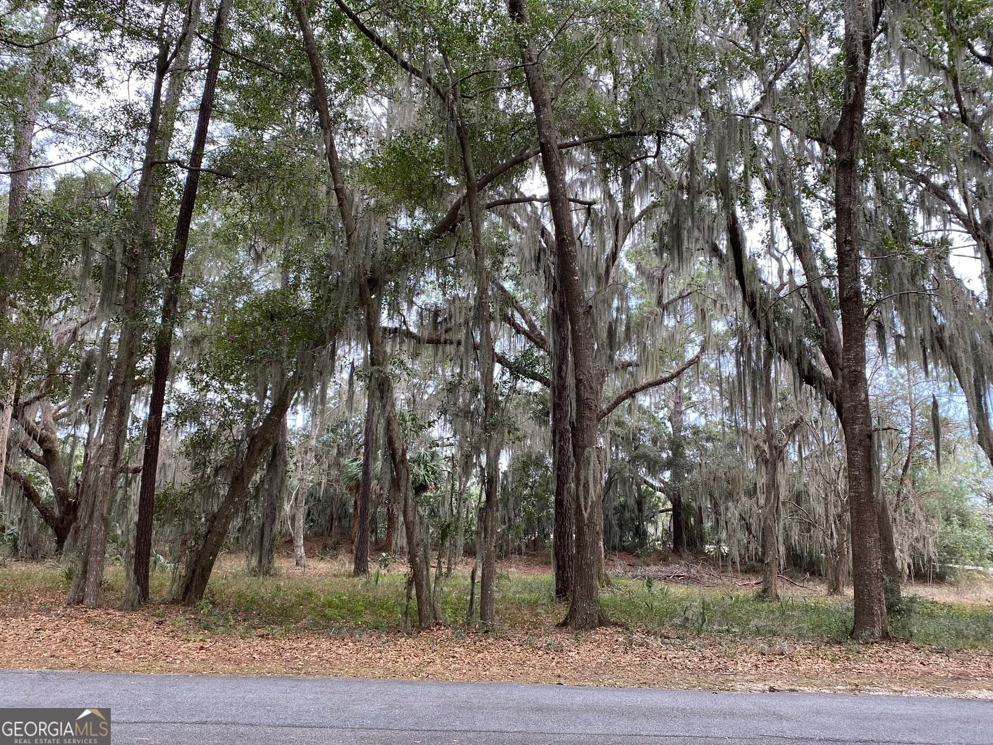 residential lot for sale at 1 Old Cane Mill Drive, Darien, GA 31305 — photo 4