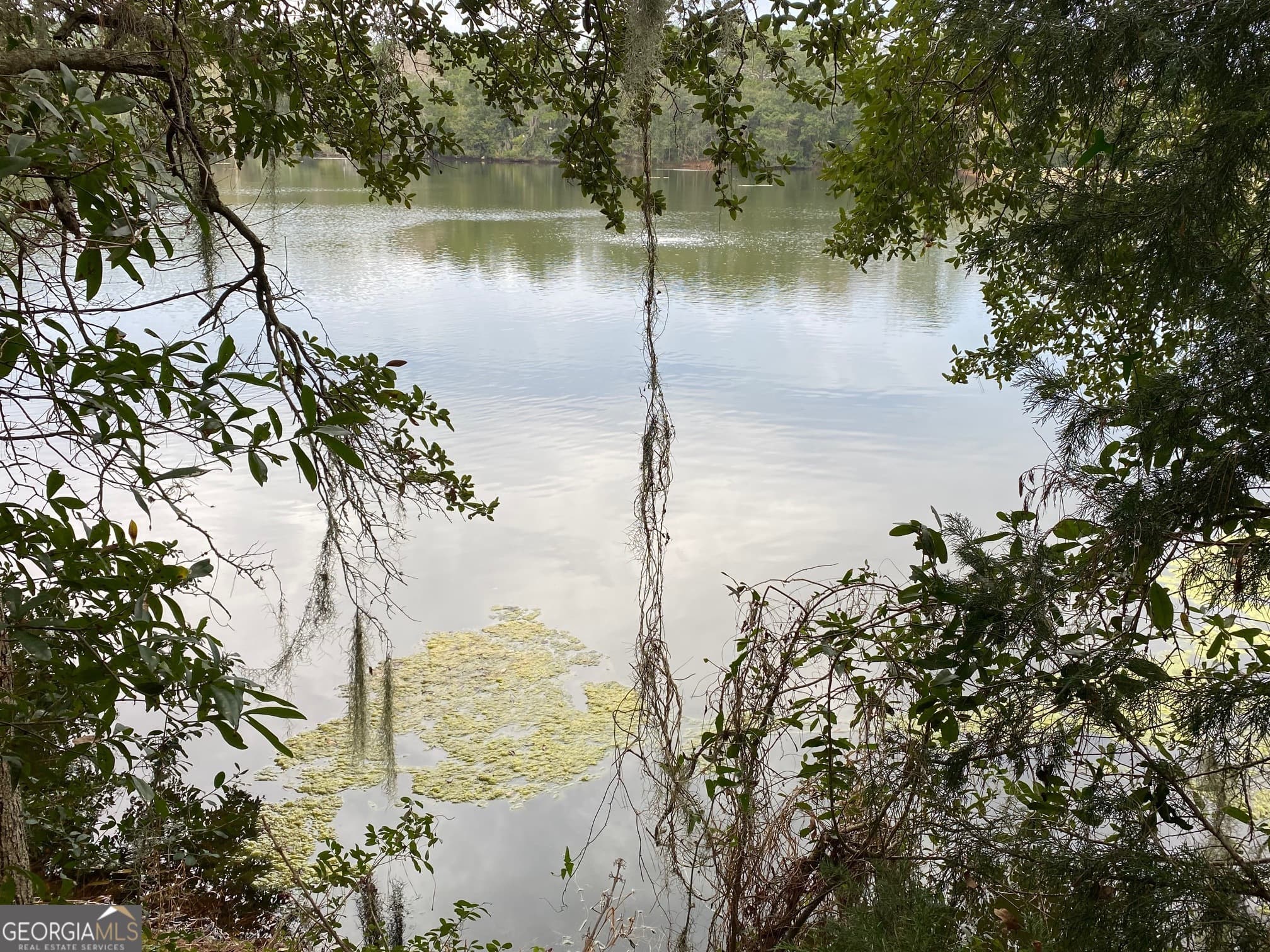 residential lot for sale at 1 Old Cane Mill Drive, Darien, GA 31305 — photo 8