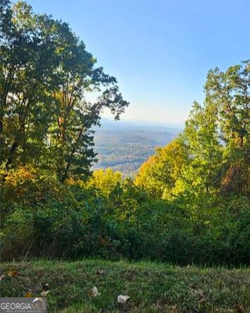 residential lot for sale at 5 Rocky Knob, Young Harris, GA 30582 — photo 6