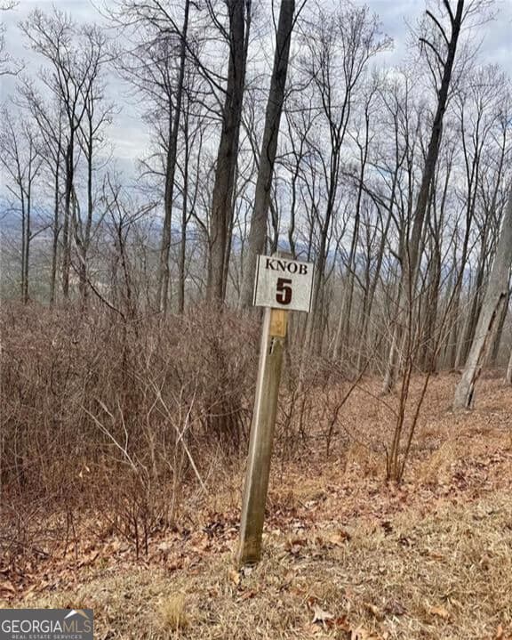 residential lot for sale at 5 Rocky Knob, Young Harris, GA 30582 — photo 3