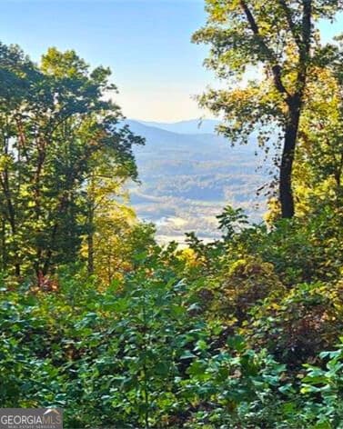 residential lot for sale at 5 Rocky Knob, Young Harris, GA 30582 — photo 5