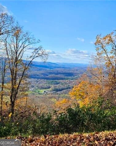 residential lot for sale at 5 Rocky Knob, Young Harris, GA 30582 — photo 9