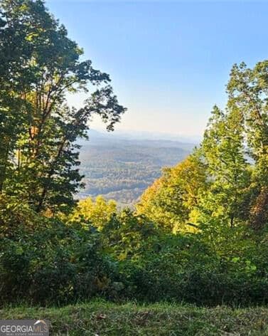 residential lot for sale at 5 Rocky Knob, Young Harris, GA 30582 — photo 8