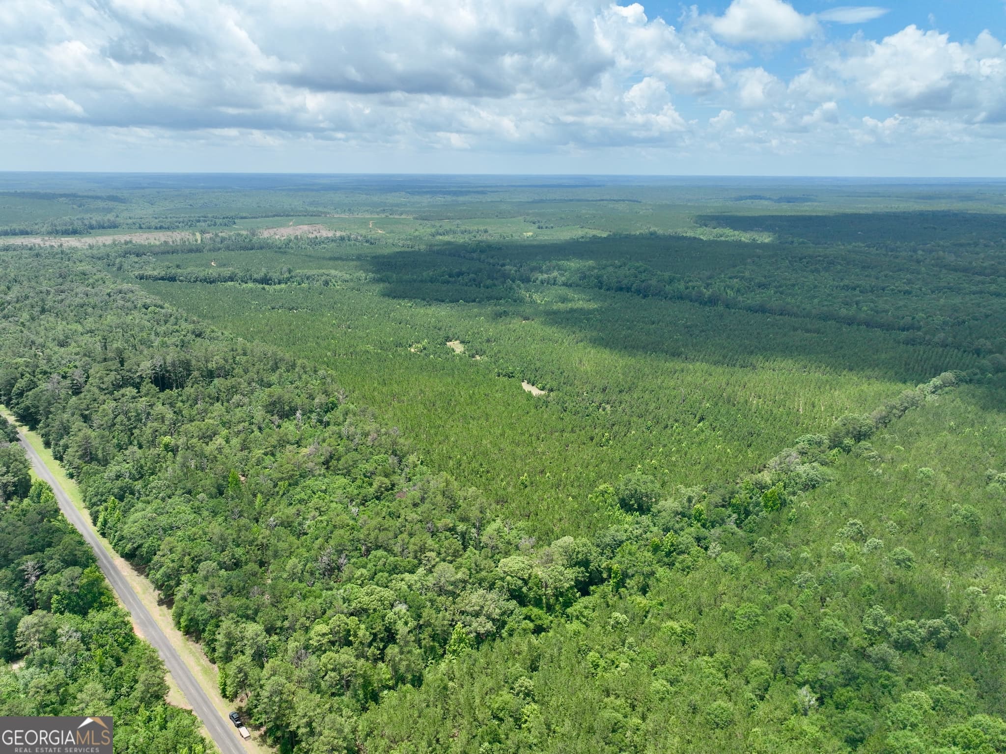 agriculture for sale at 0 Everett Wood Road, Ideal, GA 31041 — photo 6