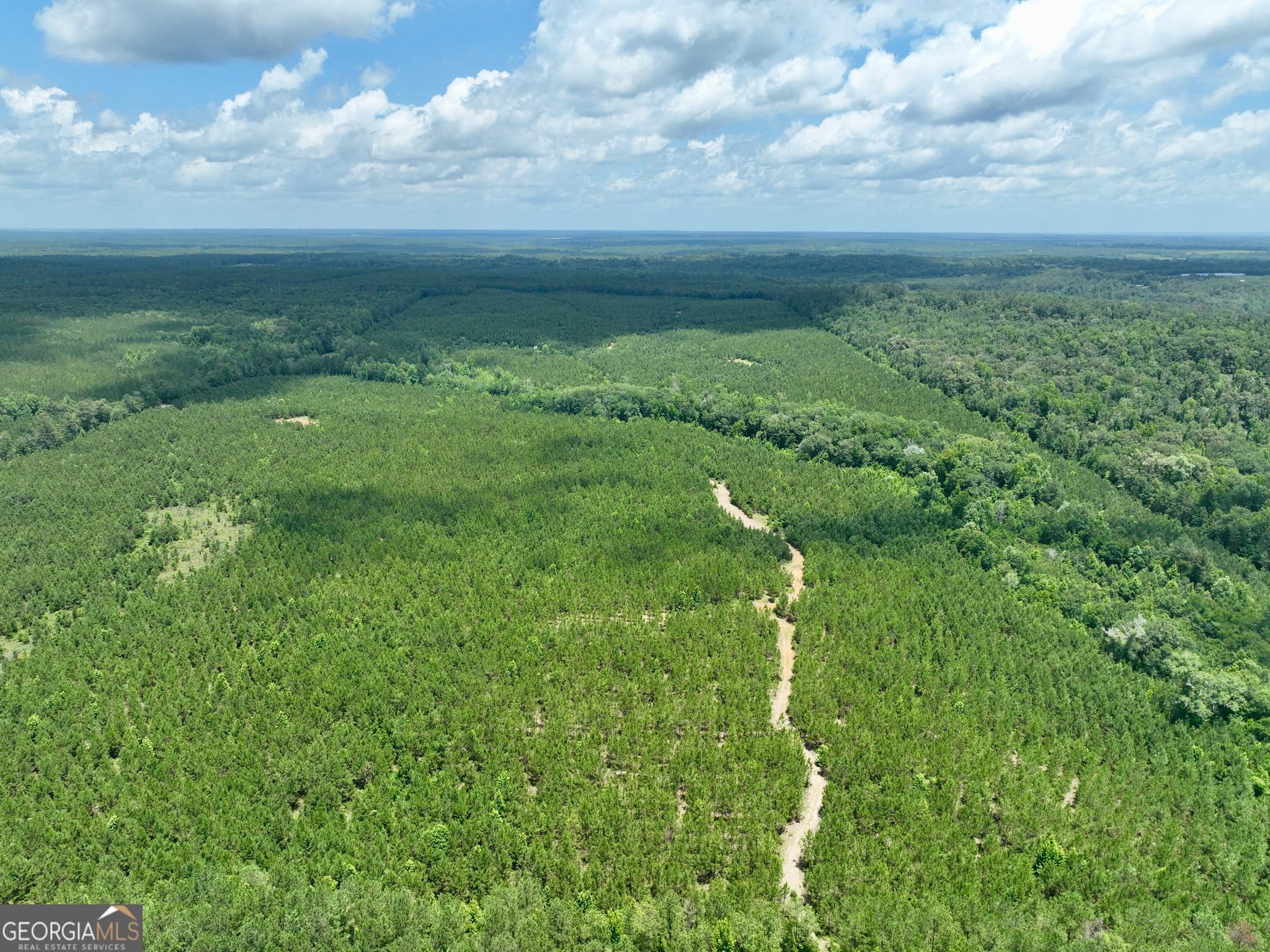 agriculture for sale at 0 Everett Wood Road, Ideal, GA 31041 — photo 3