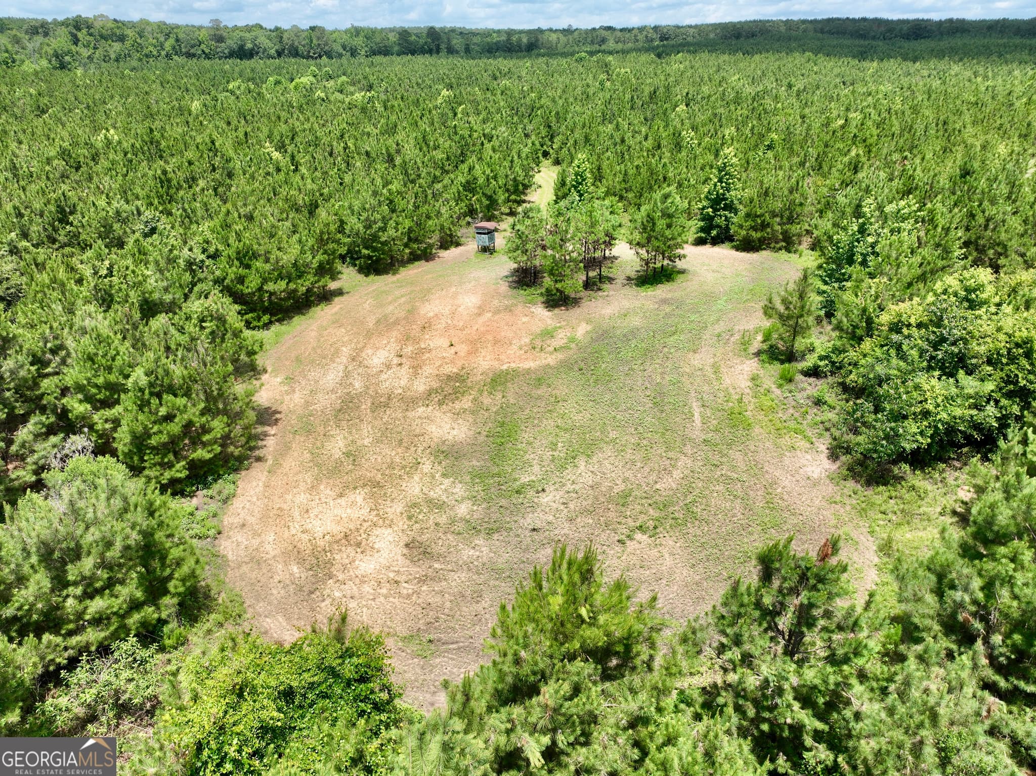 agriculture for sale at 0 Everett Wood Road, Ideal, GA 31041