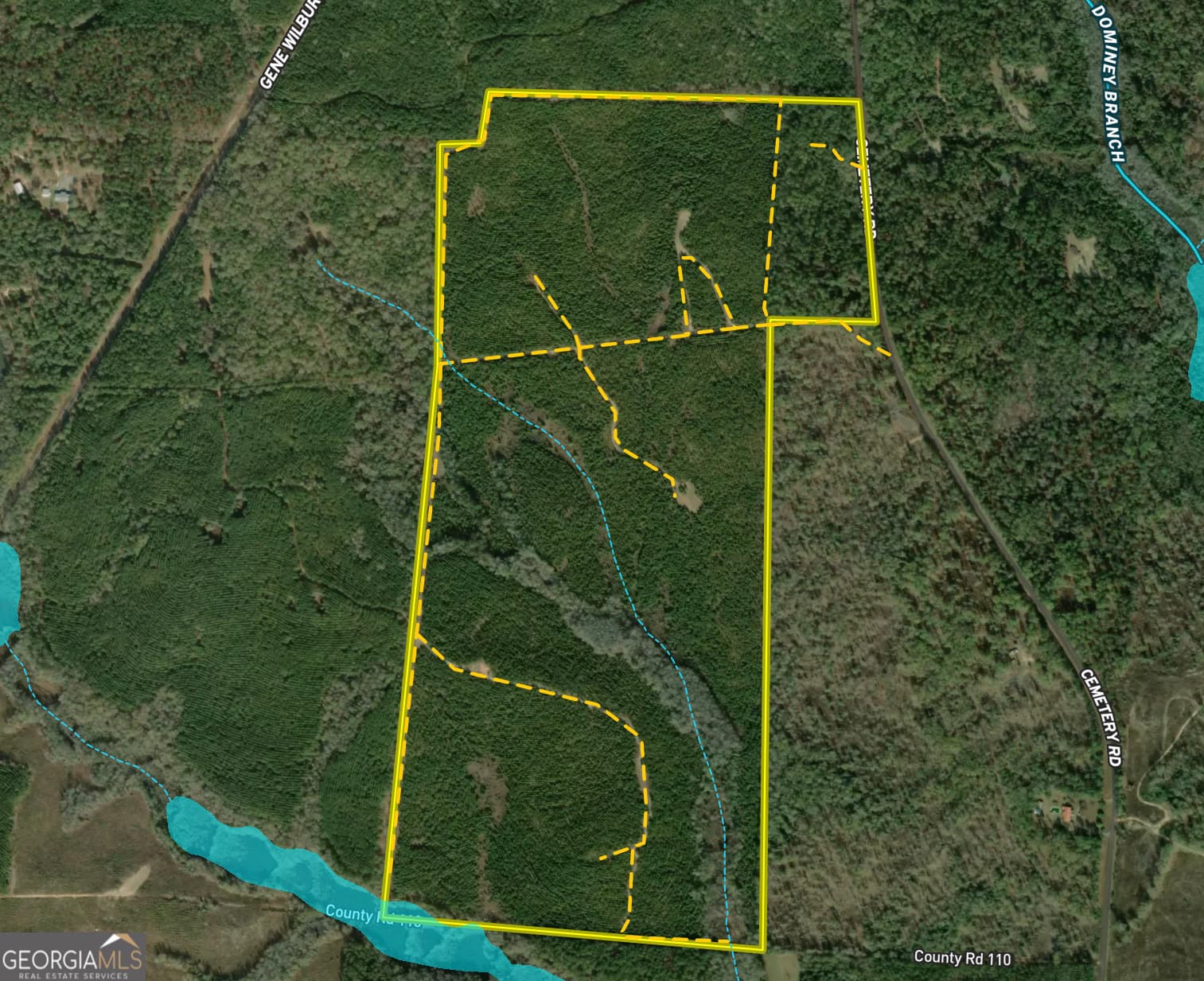 agriculture for sale at 0 Everett Wood Road, Ideal, GA 31041 — photo 5