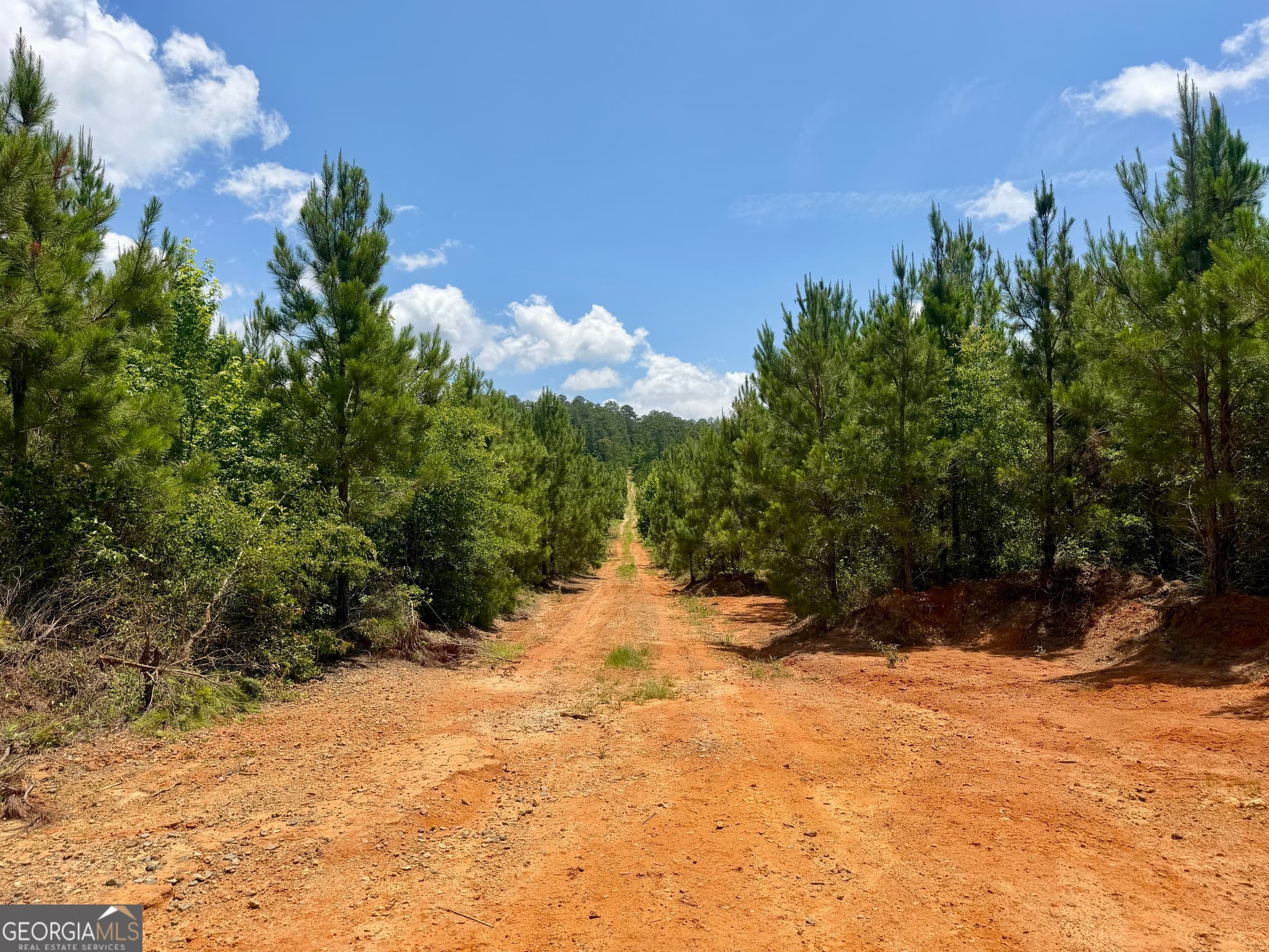 agriculture for sale at 0 Everett Wood Road, Ideal, GA 31041 — photo 10