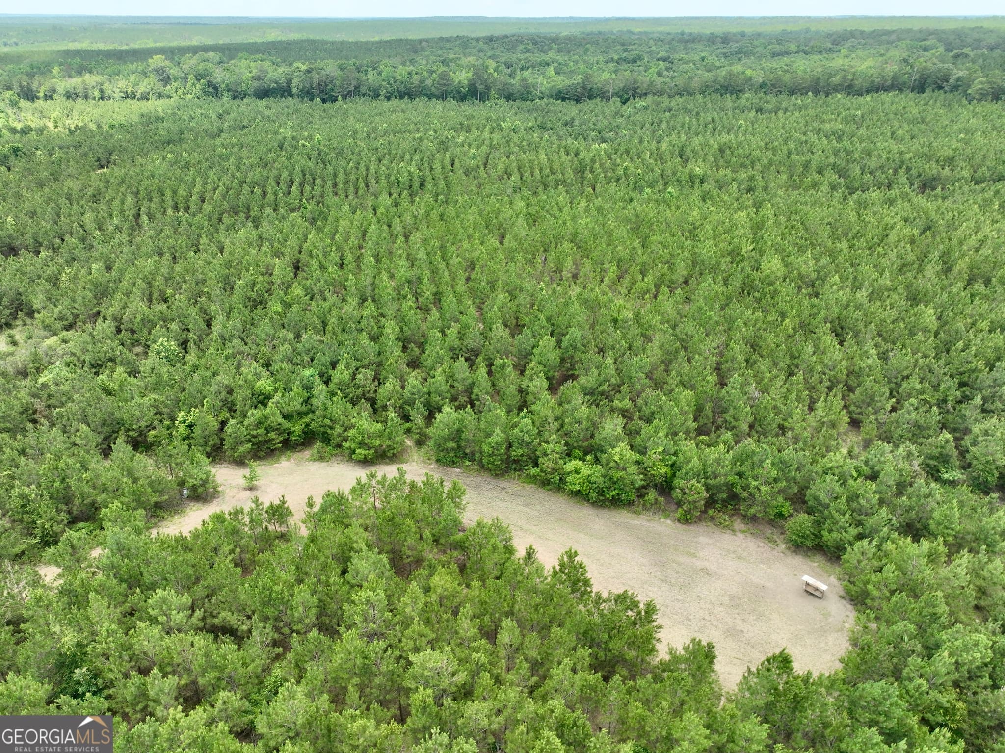agriculture for sale at 0 Everett Wood Road, Ideal, GA 31041 — photo 8
