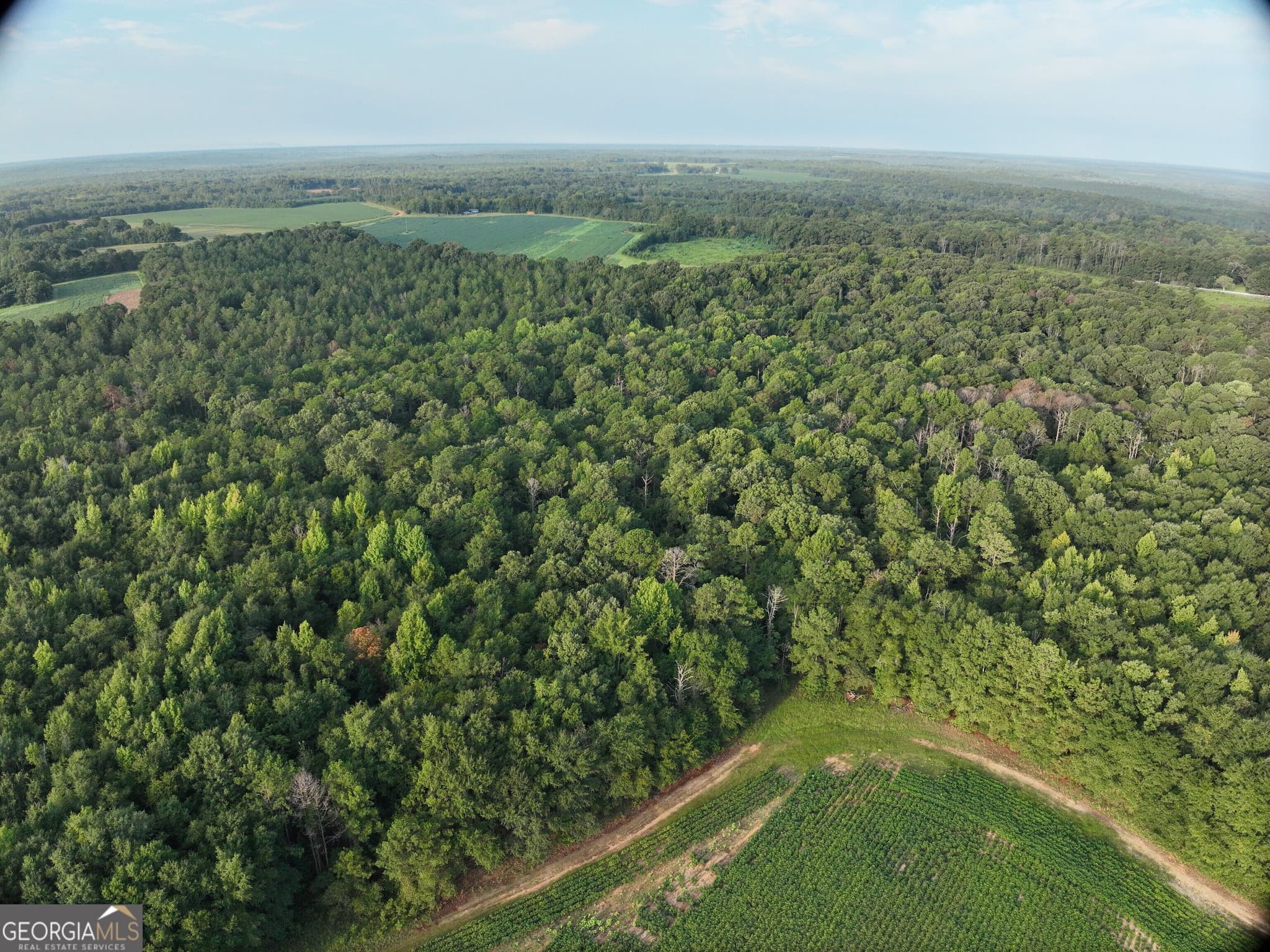 unimproved land for sale at 0 Coogle Road, Oglethorpe, GA 31068 — photo 7