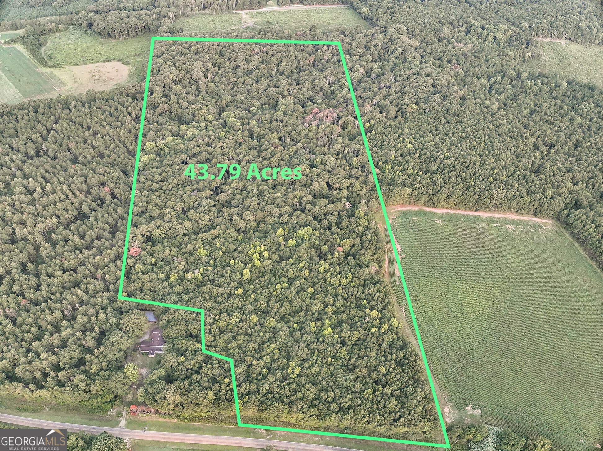 unimproved land for sale at 0 Coogle Road, Oglethorpe, GA 31068