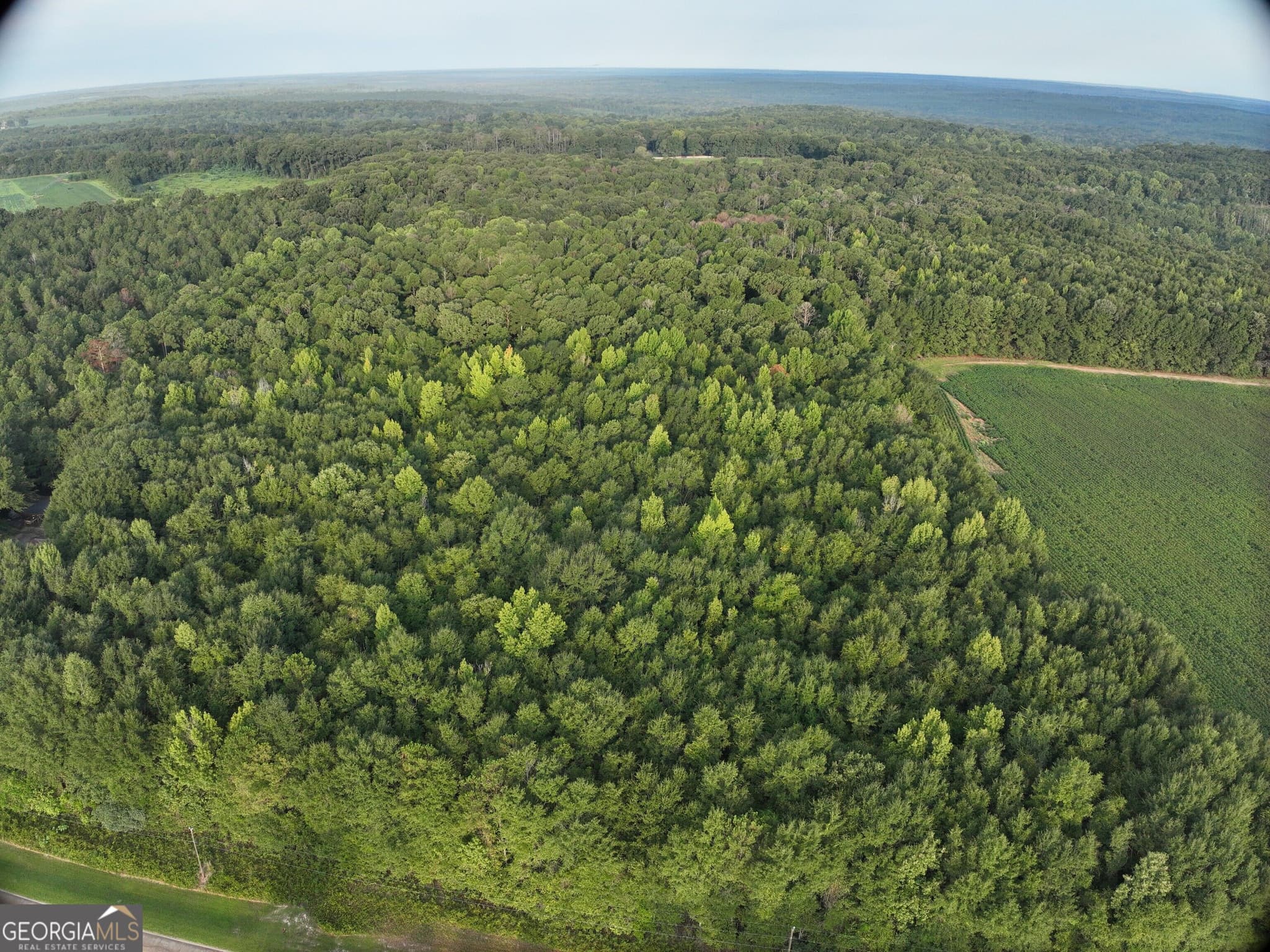 unimproved land for sale at 0 Coogle Road, Oglethorpe, GA 31068 — photo 5