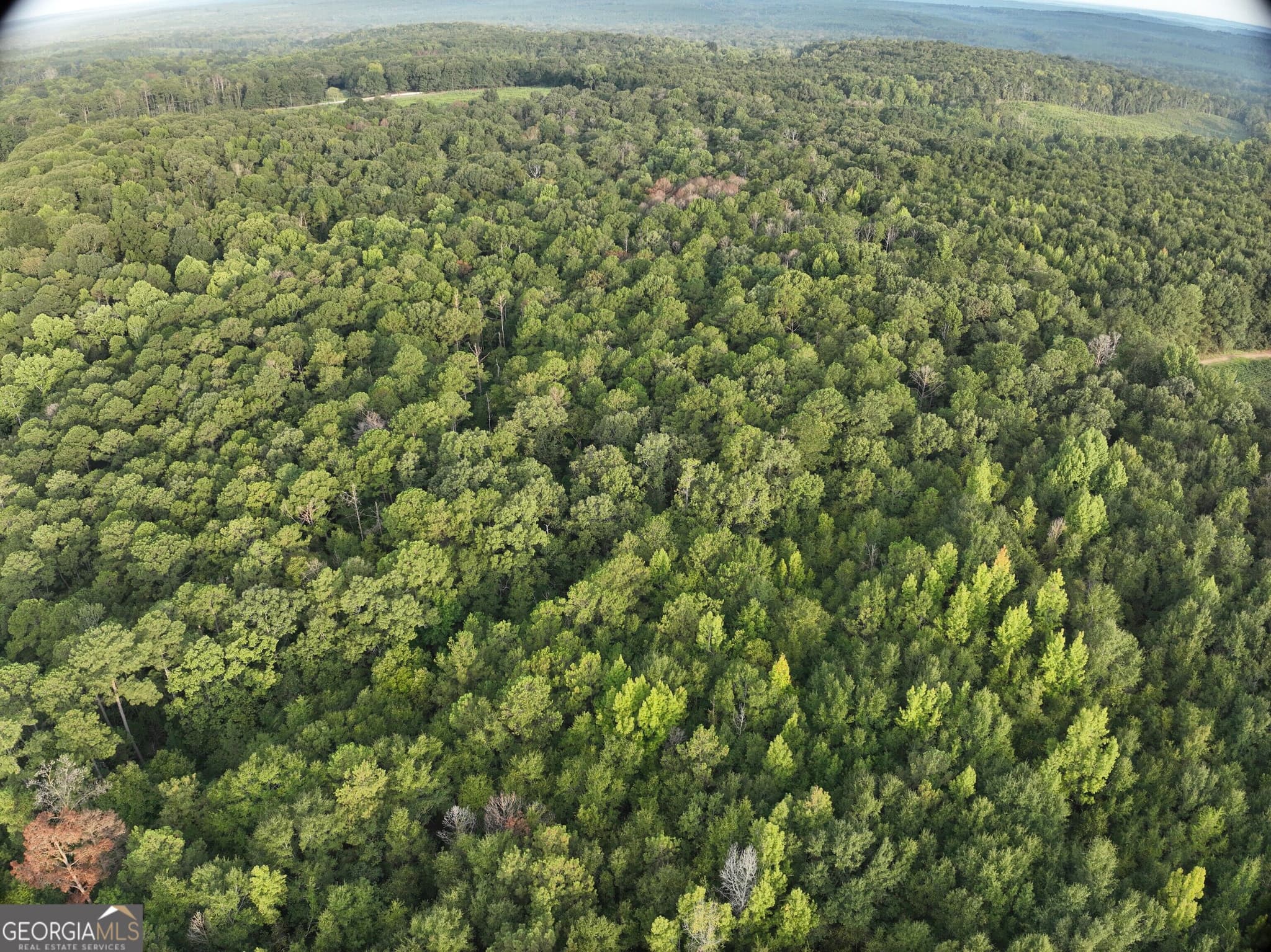 unimproved land for sale at 0 Coogle Road, Oglethorpe, GA 31068 — photo 9